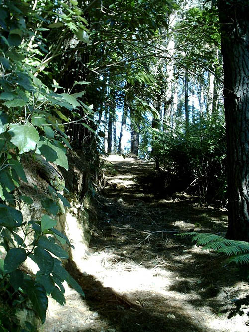 walk to picton